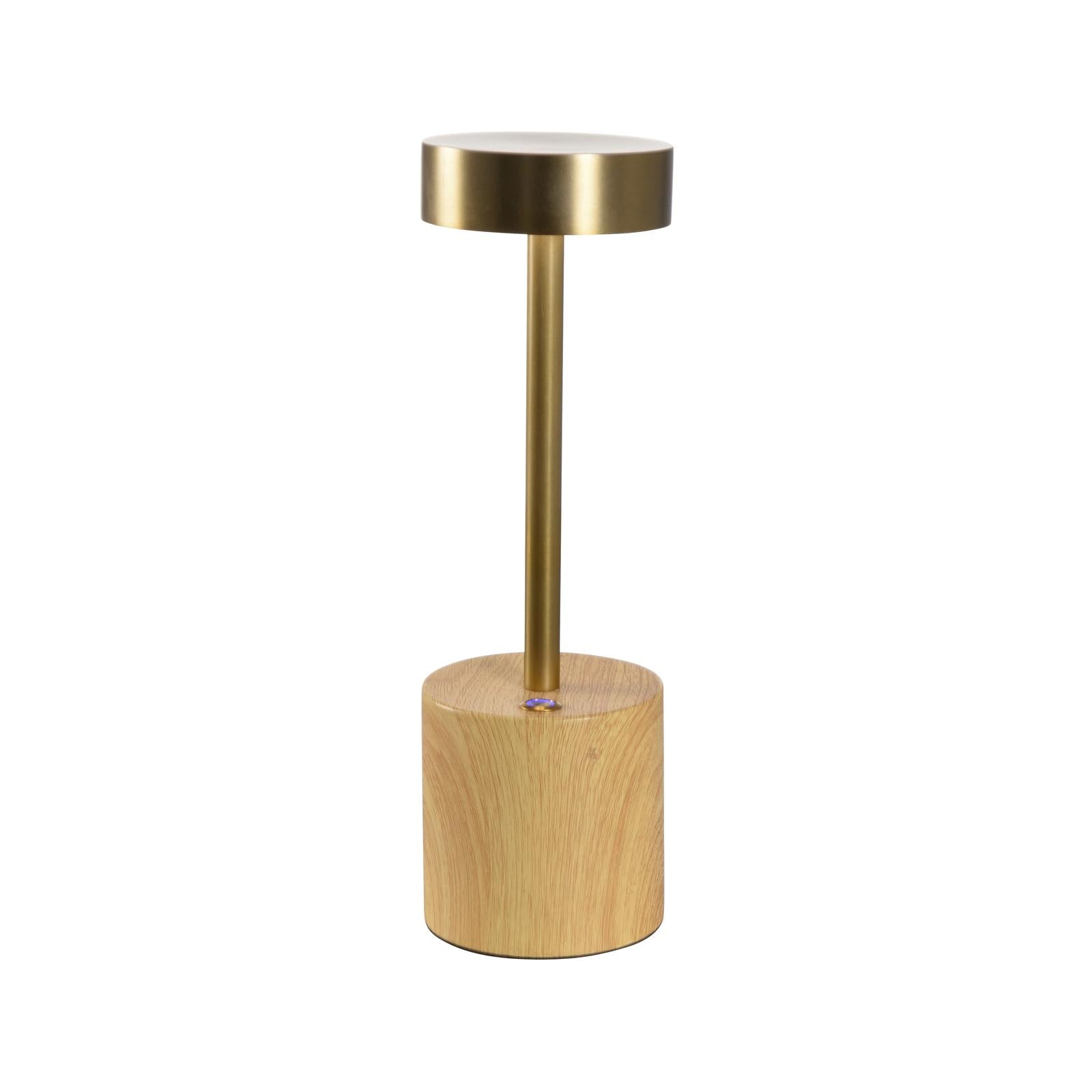 Wildwood Theodore Rechargeable Table Lamp