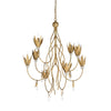 Wildwood Phoebe Chandelier