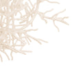 Wildwood Sea Breeze Chandelier