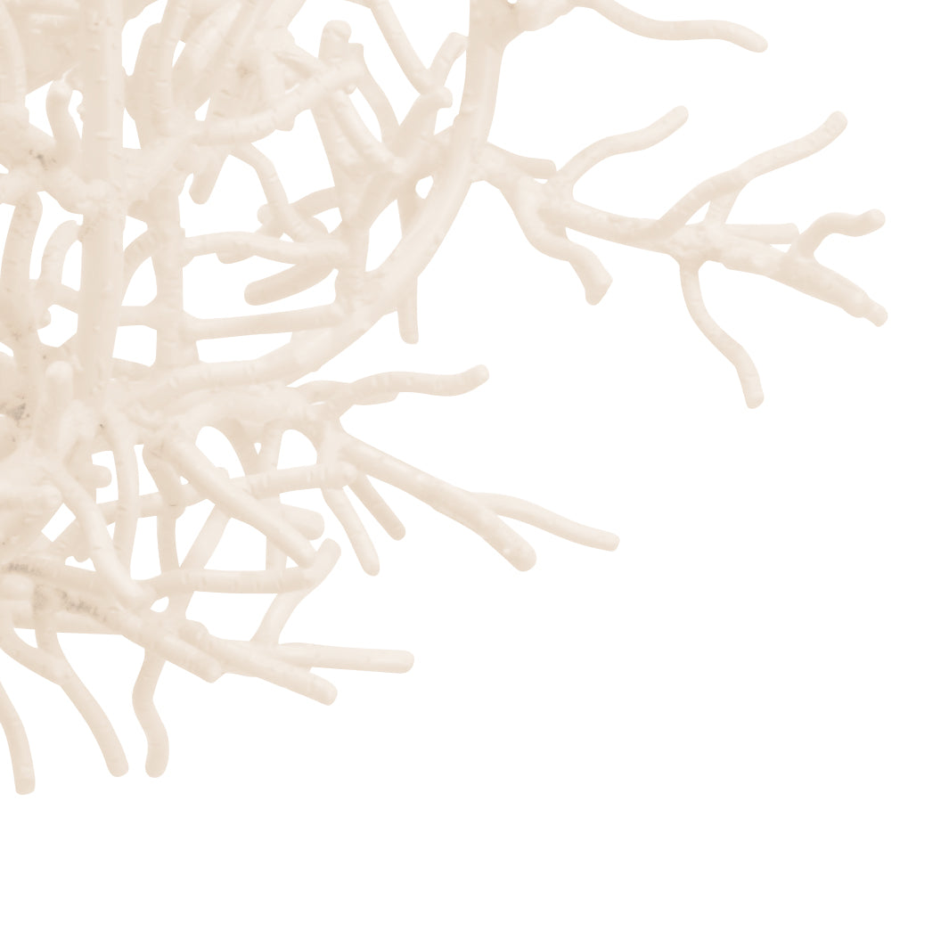 Wildwood Sea Breeze Chandelier