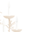 Wildwood Sea Breeze Chandelier