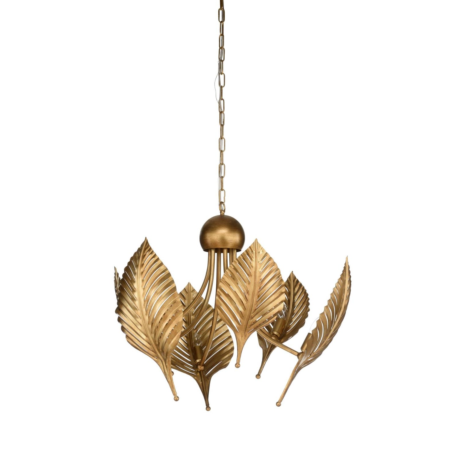 Wildwood Foglia Di Palma Chandelier