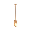 Wildwood Orin Brass Pendant
