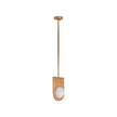 Wildwood Orin Brass Pendant