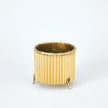 Global Views Corrugated Bamboo Cachepot