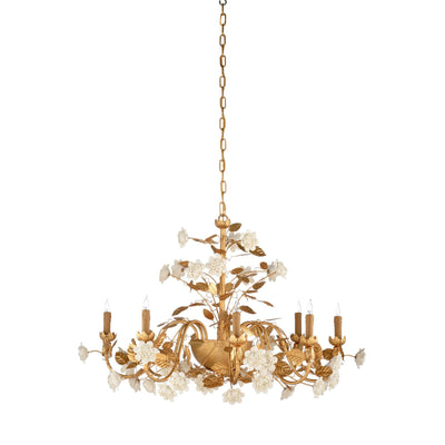 Chelsea House Queensland Chandelier