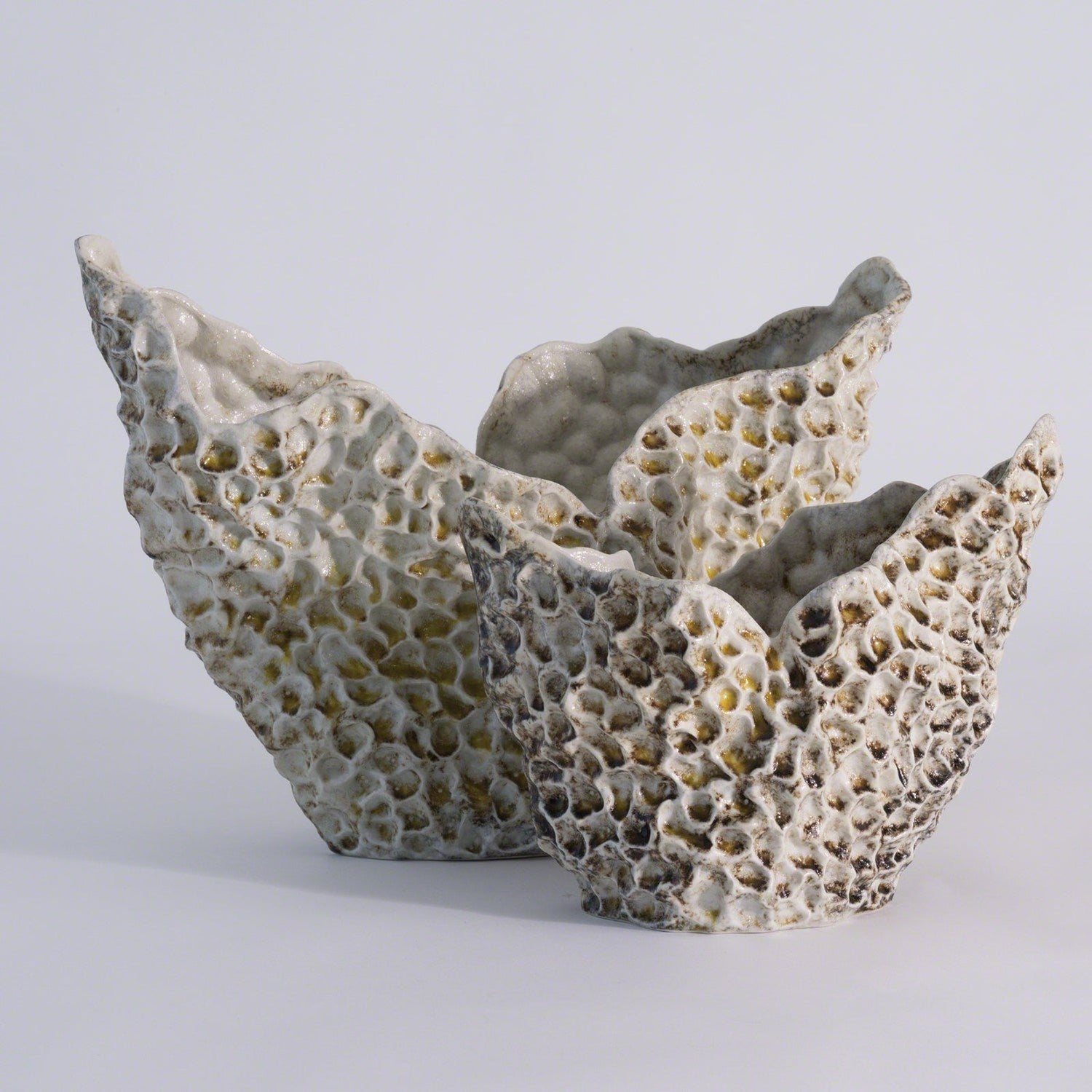 Global Views Barrier Reef Bowl