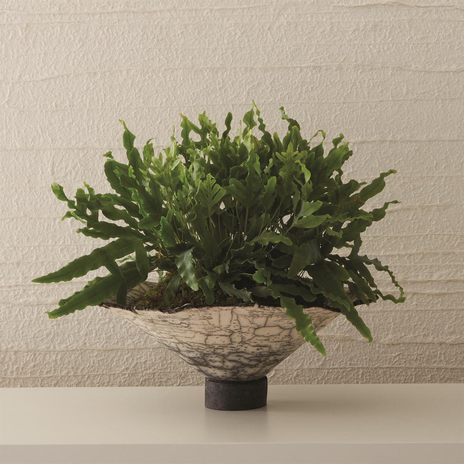 Global Views Black Raku Crackled Footed Bowl