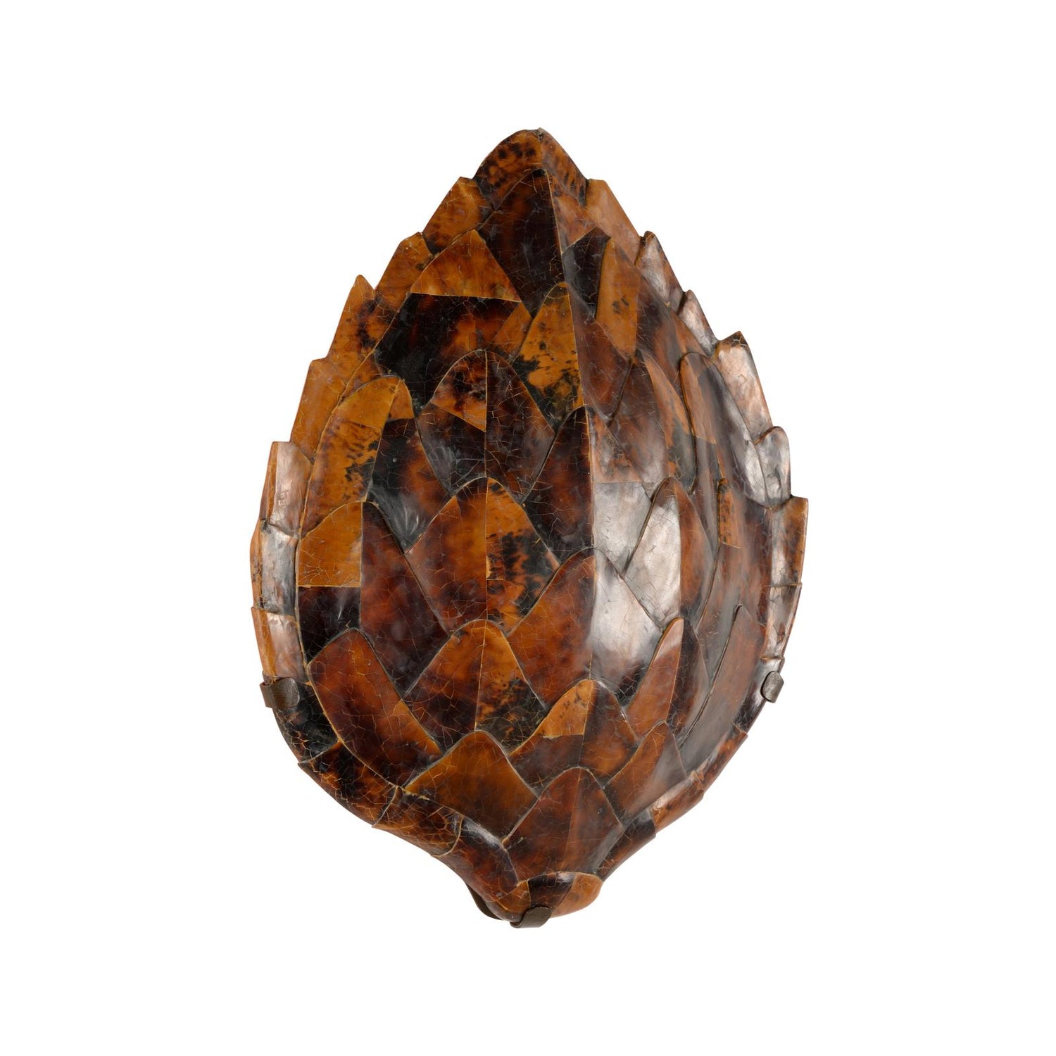 Chelsea House Penshell Sconce