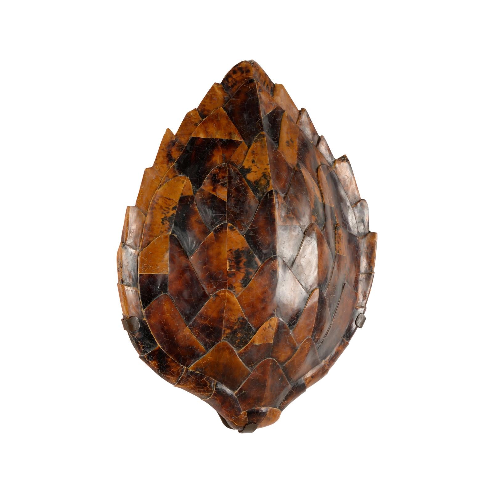 Chelsea House Penshell Sconce