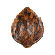 Chelsea House Penshell Sconce