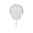 Chelsea House Horseshoe White Crab Sconce