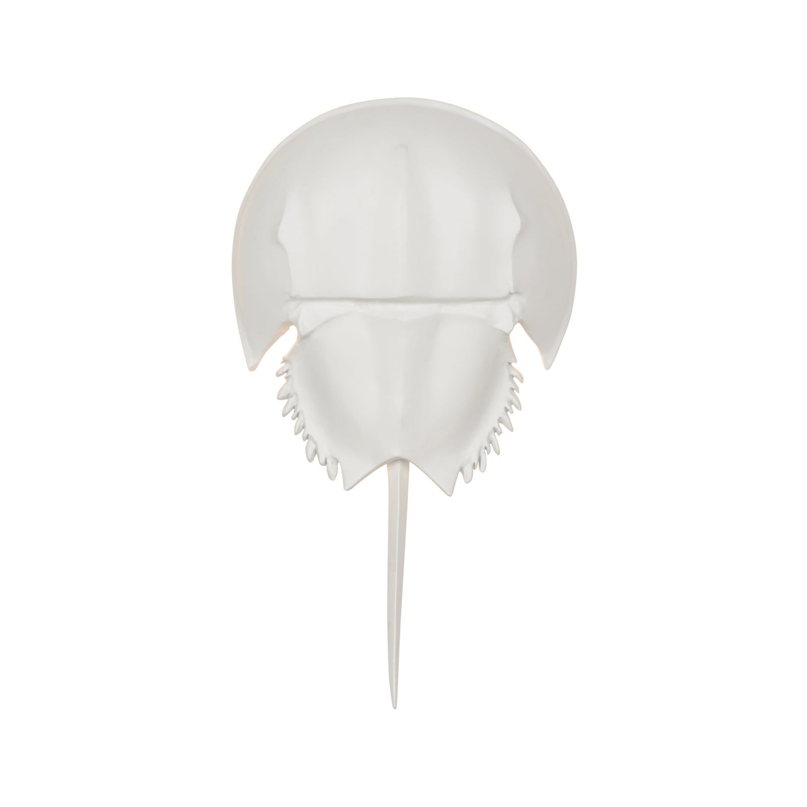 Chelsea House Horseshoe White Crab Sconce