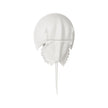Chelsea House Horseshoe White Crab Sconce