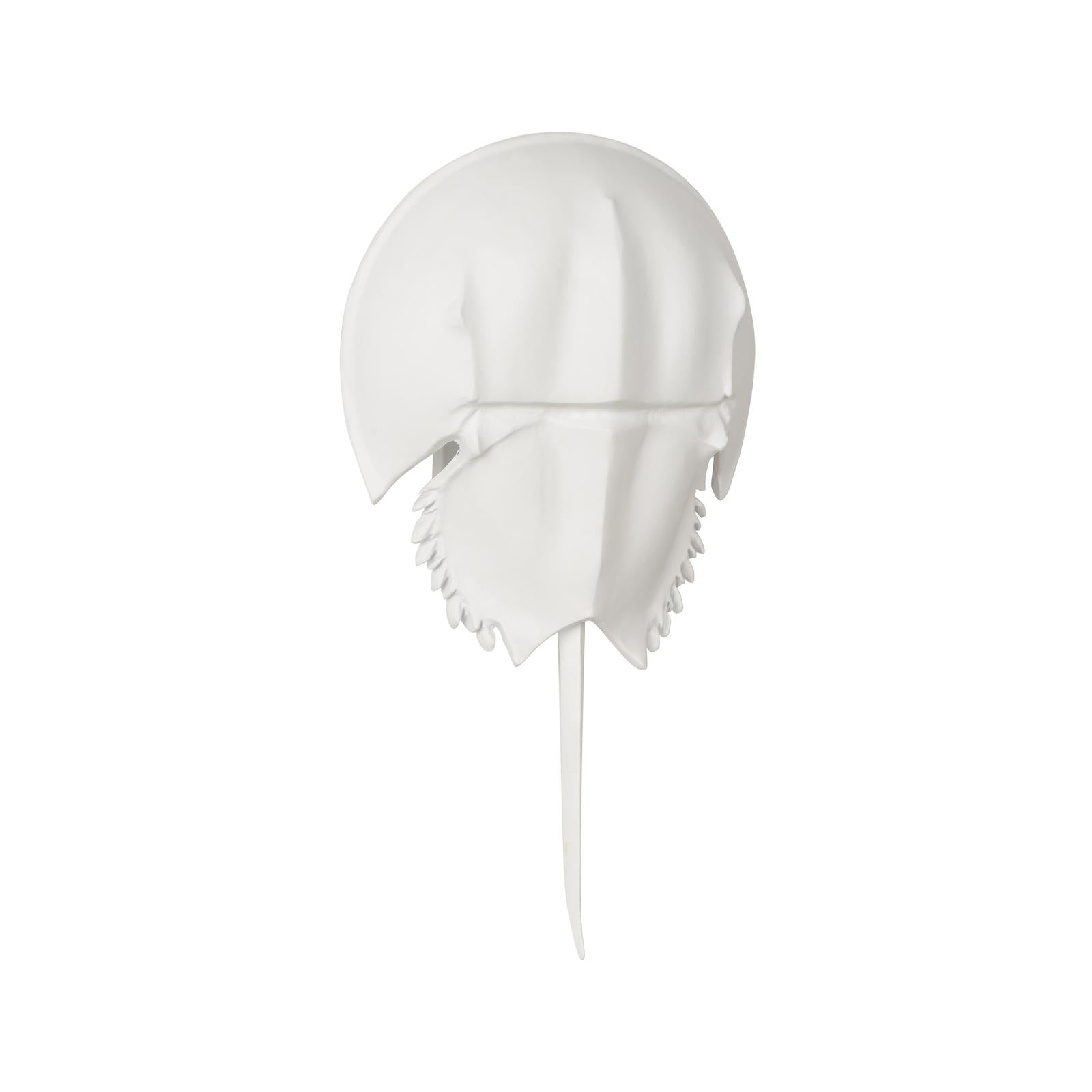 Chelsea House Horseshoe White Crab Sconce