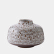 Global Views Taurus Squat Vase
