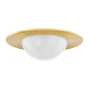 Hudson Valley Lighting Geraldton 1 Light 21 inch Flush Mount Ceiling Light