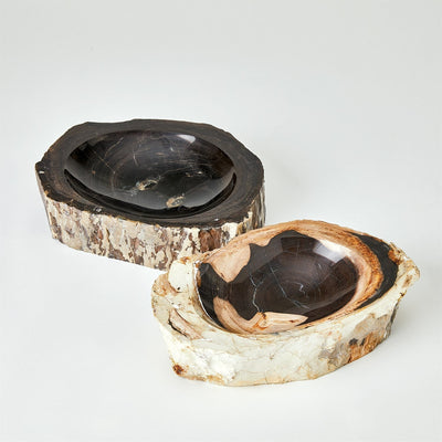 Global Views Petrified Bowl