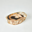 Global Views Petrified Bowl
