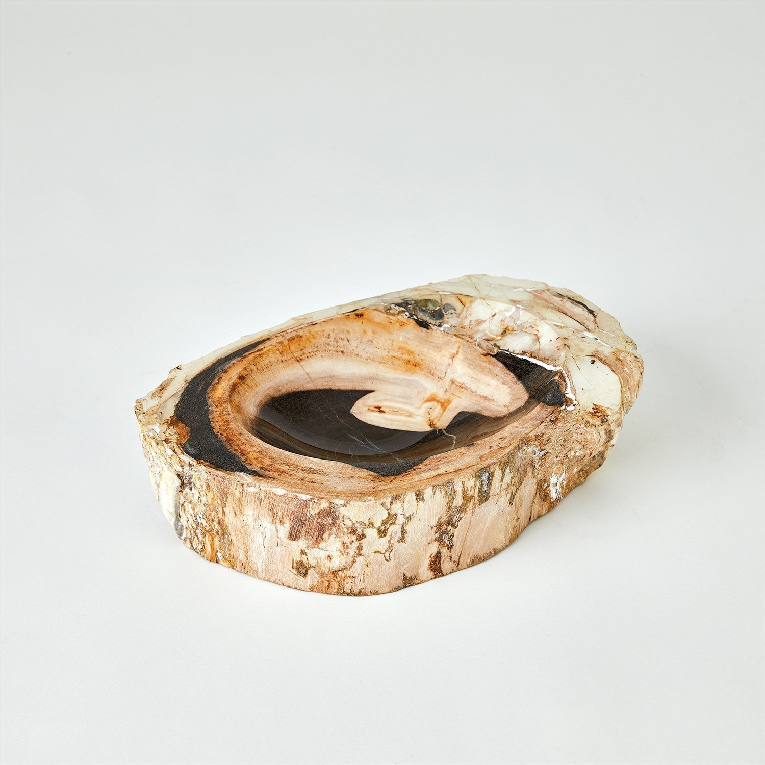 Global Views Petrified Bowl
