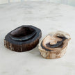 Global Views Petrified Bowl