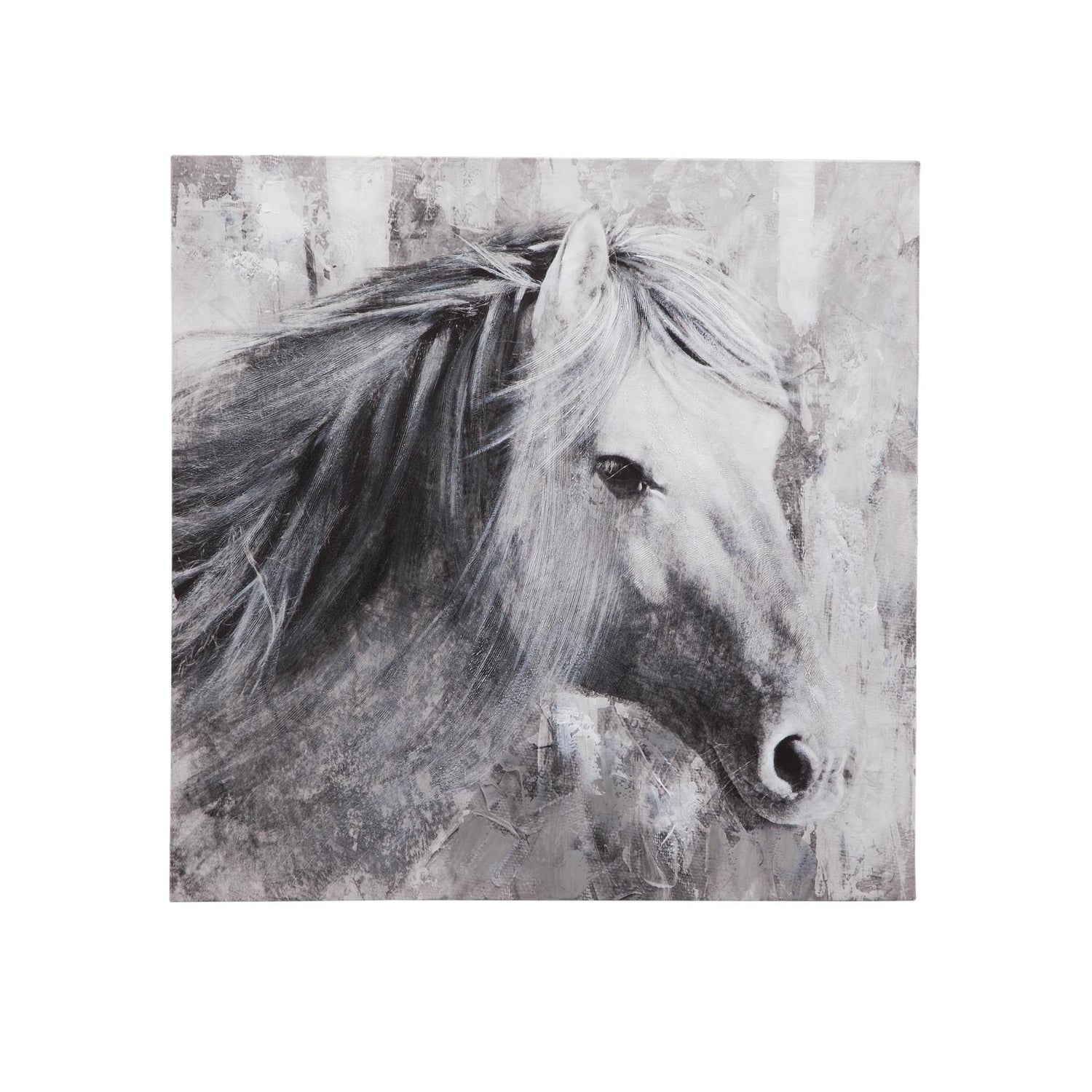 BMC Meg Canvas Art