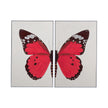 Bassett Mirror Butterfly Wings Framed Canvas - Set of 2