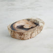 Global Views Petrified Bowl