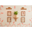 Chelsea House Baytree Wicker Bracket
