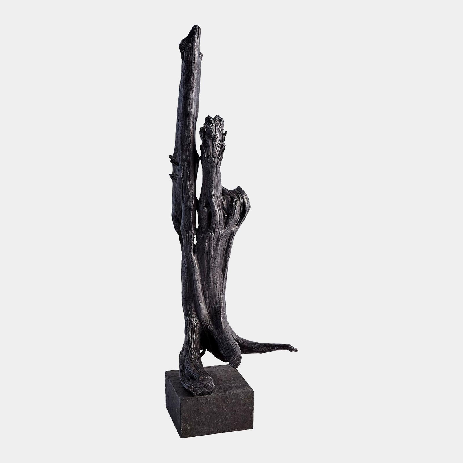 Global Viewson Driftwood Sculpture