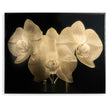 Jonathan Charles Gold Orchid Artwork