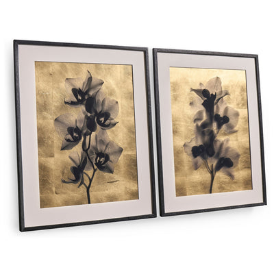 Jonathan Charles Black Orchids Artwork