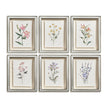 Jonathan Charles Petals and Process - Set of 6
