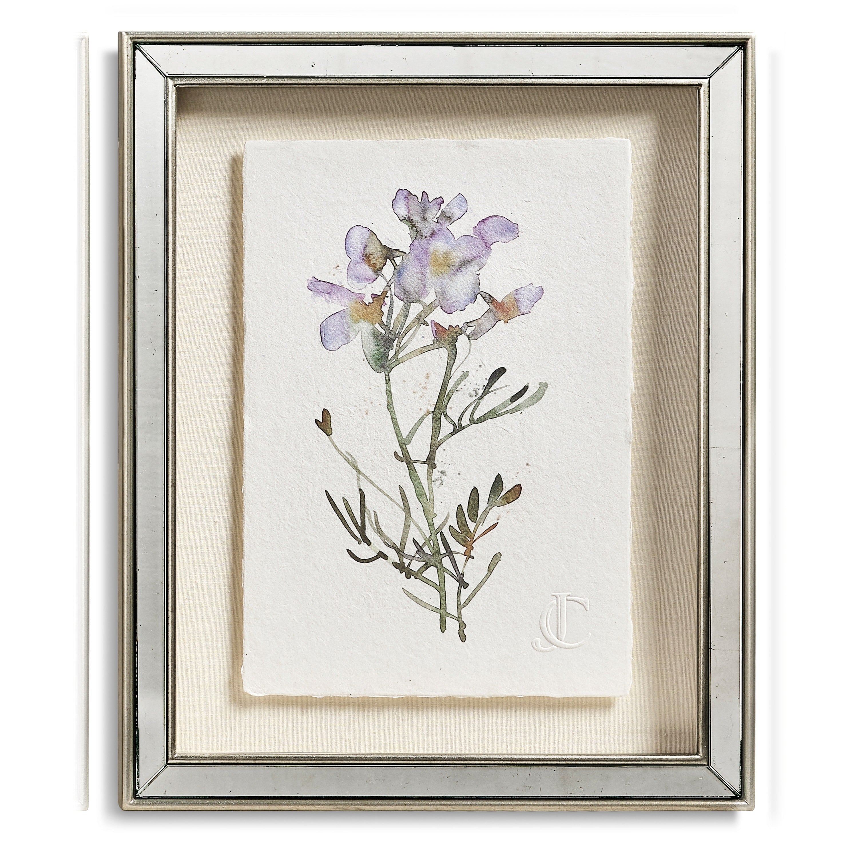Jonathan Charles Petals and Process - Set of 6