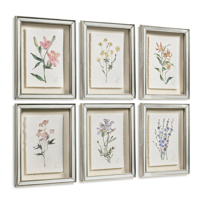 Jonathan Charles Petals and Process - Set of 6