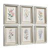 Jonathan Charles Petals and Process - Set of 6