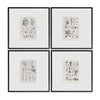 Jonathan Charles Botanica: The Art of Knowledge - Set of 4