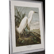 Jonathan Charles Audubon Birds - Set of 6