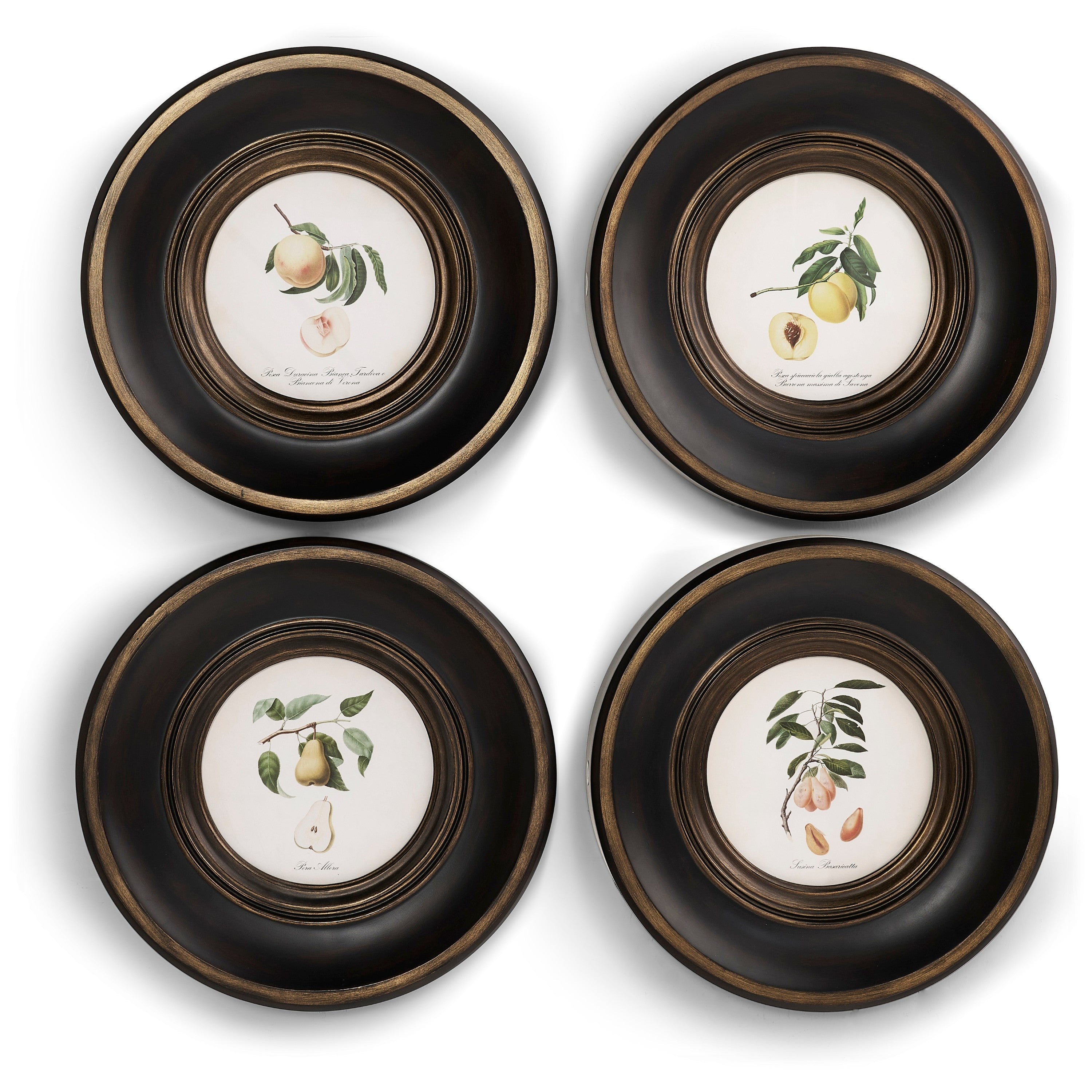 Jonathan Charles Vintage Fruit No. 1 - Set of 4
