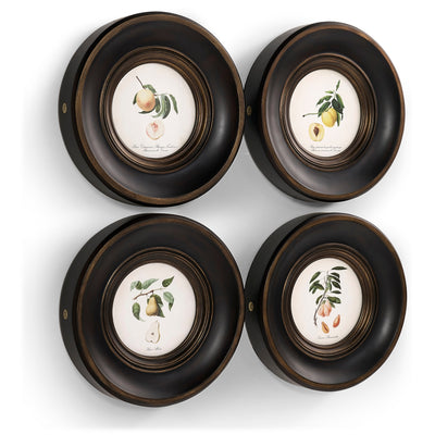 Jonathan Charles Vintage Fruit No. 1 - Set of 4