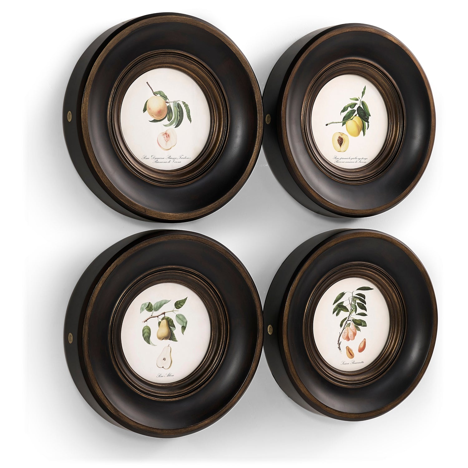 Jonathan Charles Vintage Fruit No. 1 - Set of 4