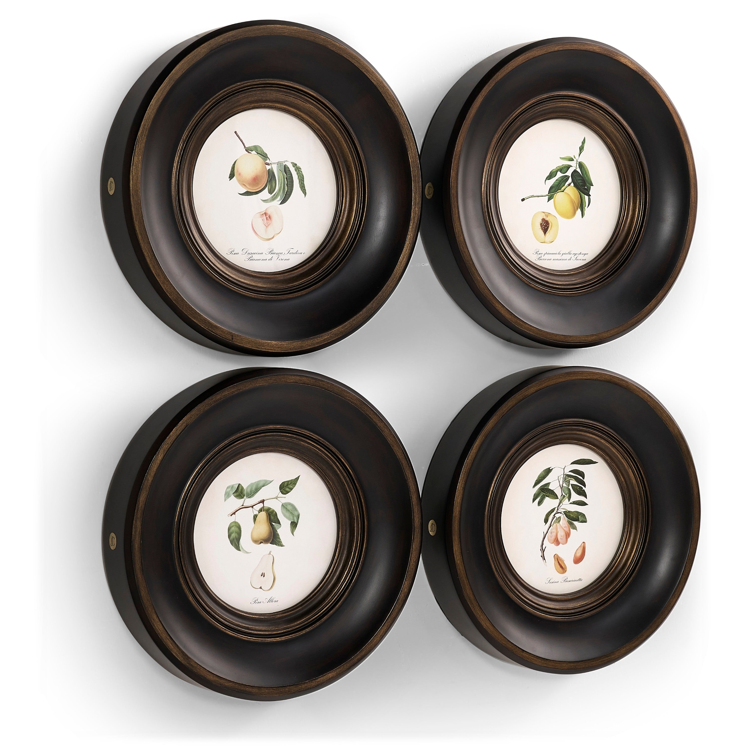 Jonathan Charles Vintage Fruit No. 1 - Set of 4