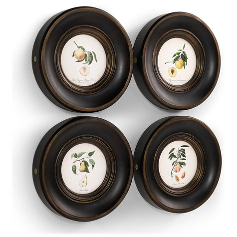 Jonathan Charles Vintage Fruit No. 1 - Set of 4