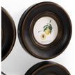 Jonathan Charles Vintage Fruit No. 1 - Set of 4