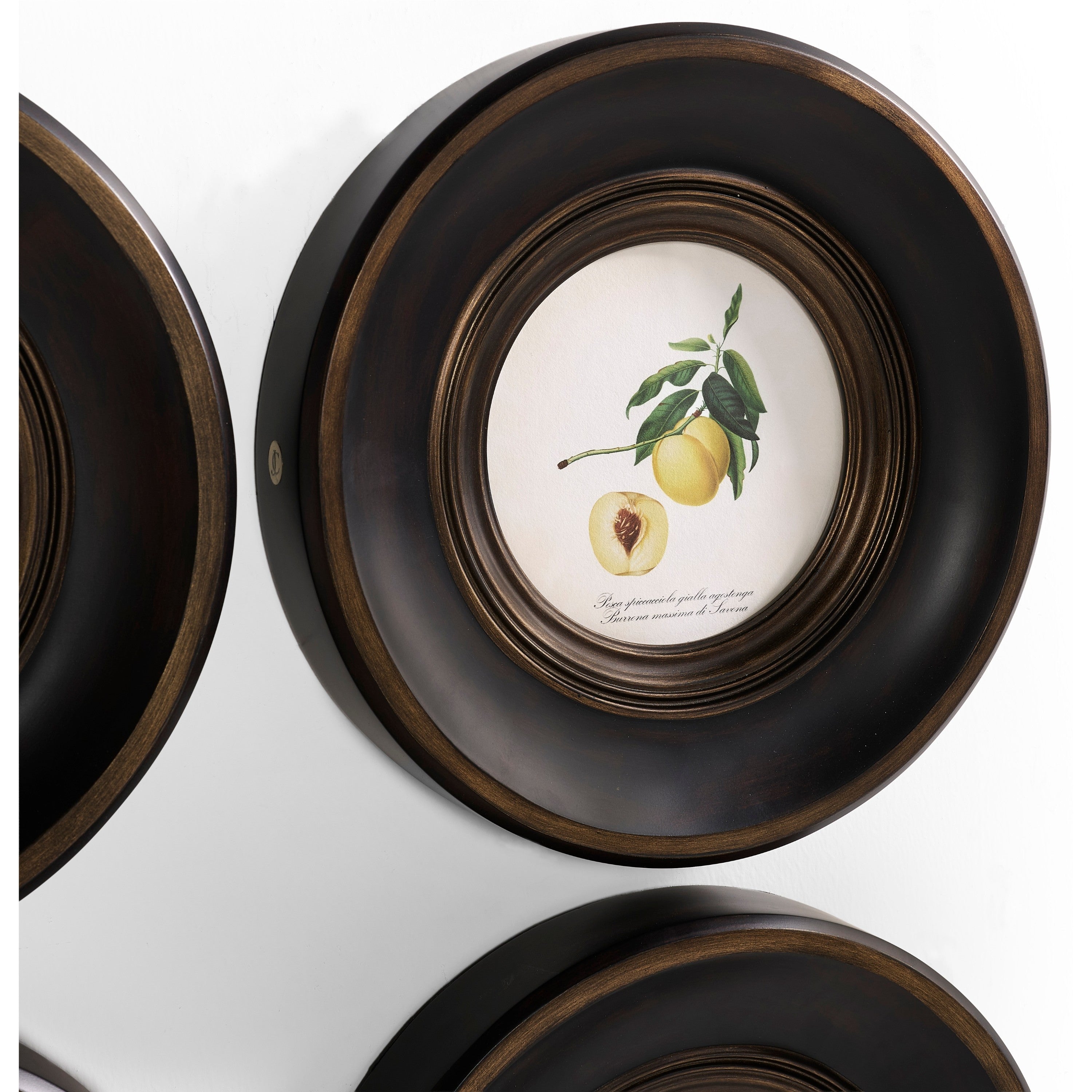 Jonathan Charles Vintage Fruit No. 1 - Set of 4