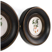Jonathan Charles Vintage Fruit No. 1 - Set of 4