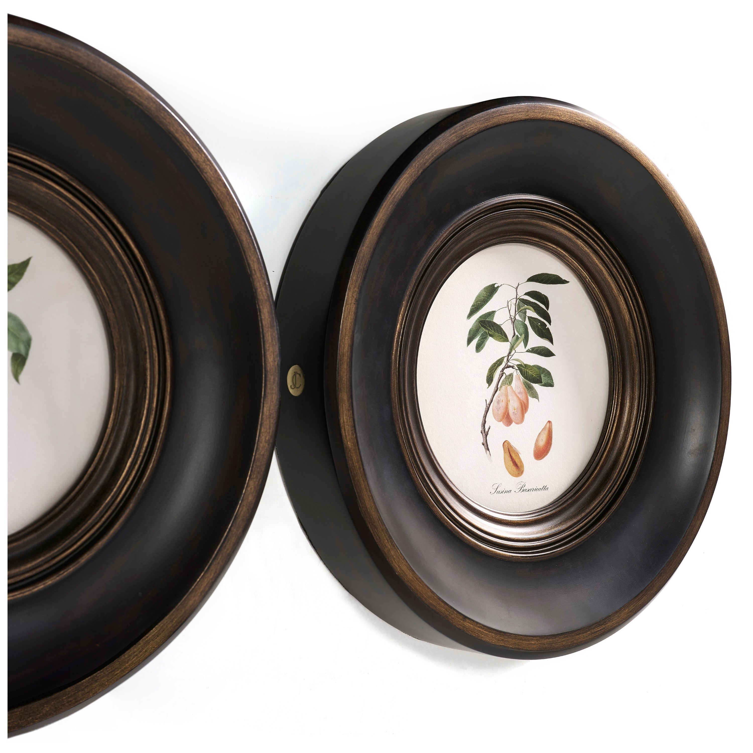 Jonathan Charles Vintage Fruit No. 1 - Set of 4