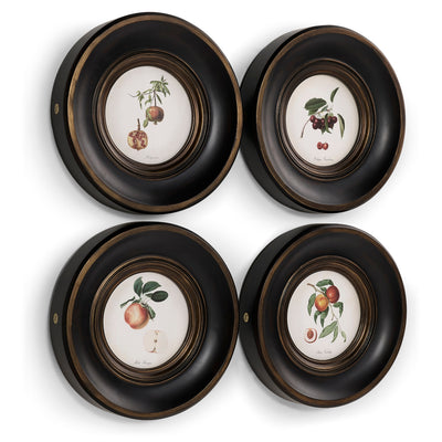 Jonathan Charles Vintage Fruit No. 2 - Set of 4