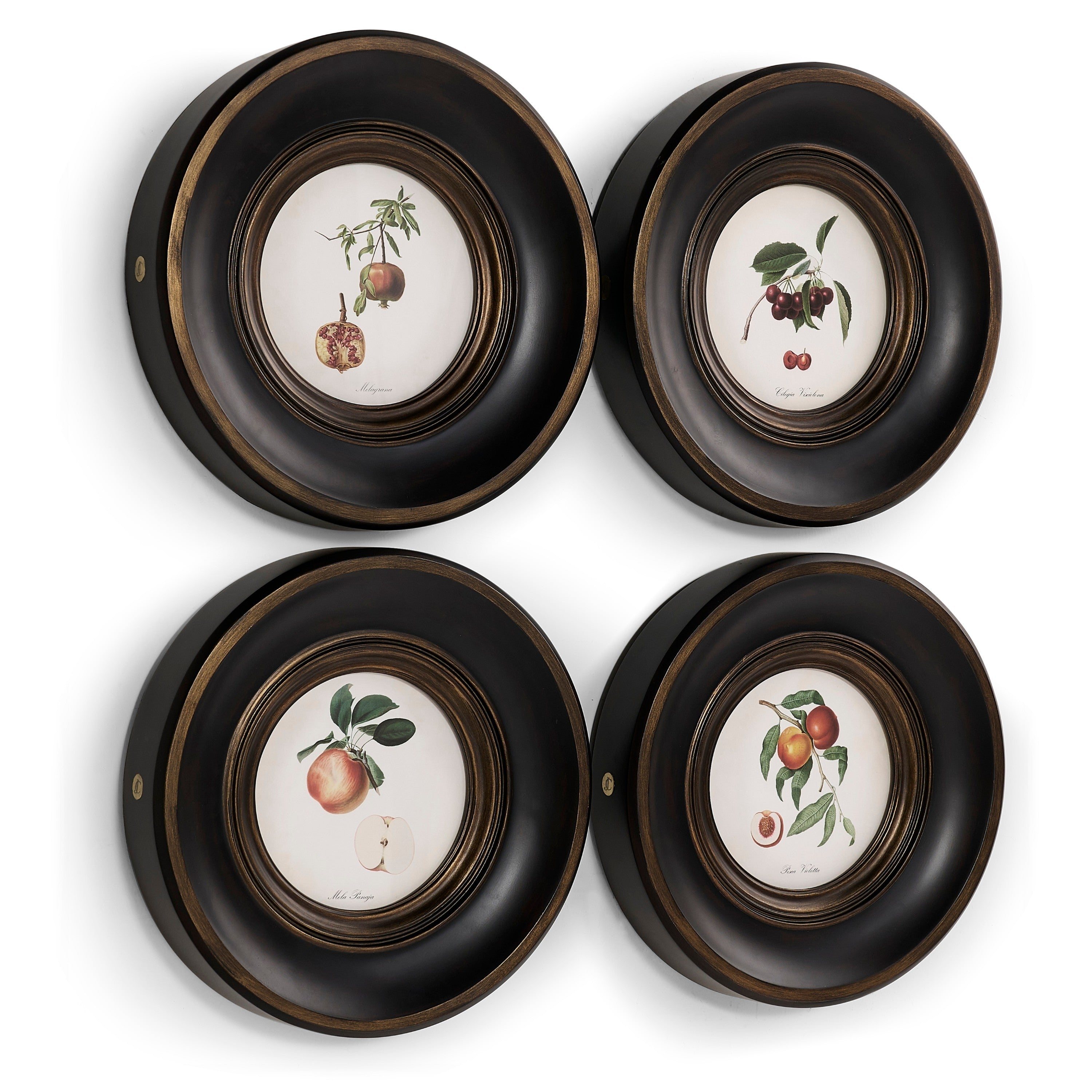 Jonathan Charles Vintage Fruit No. 2 - Set of 4
