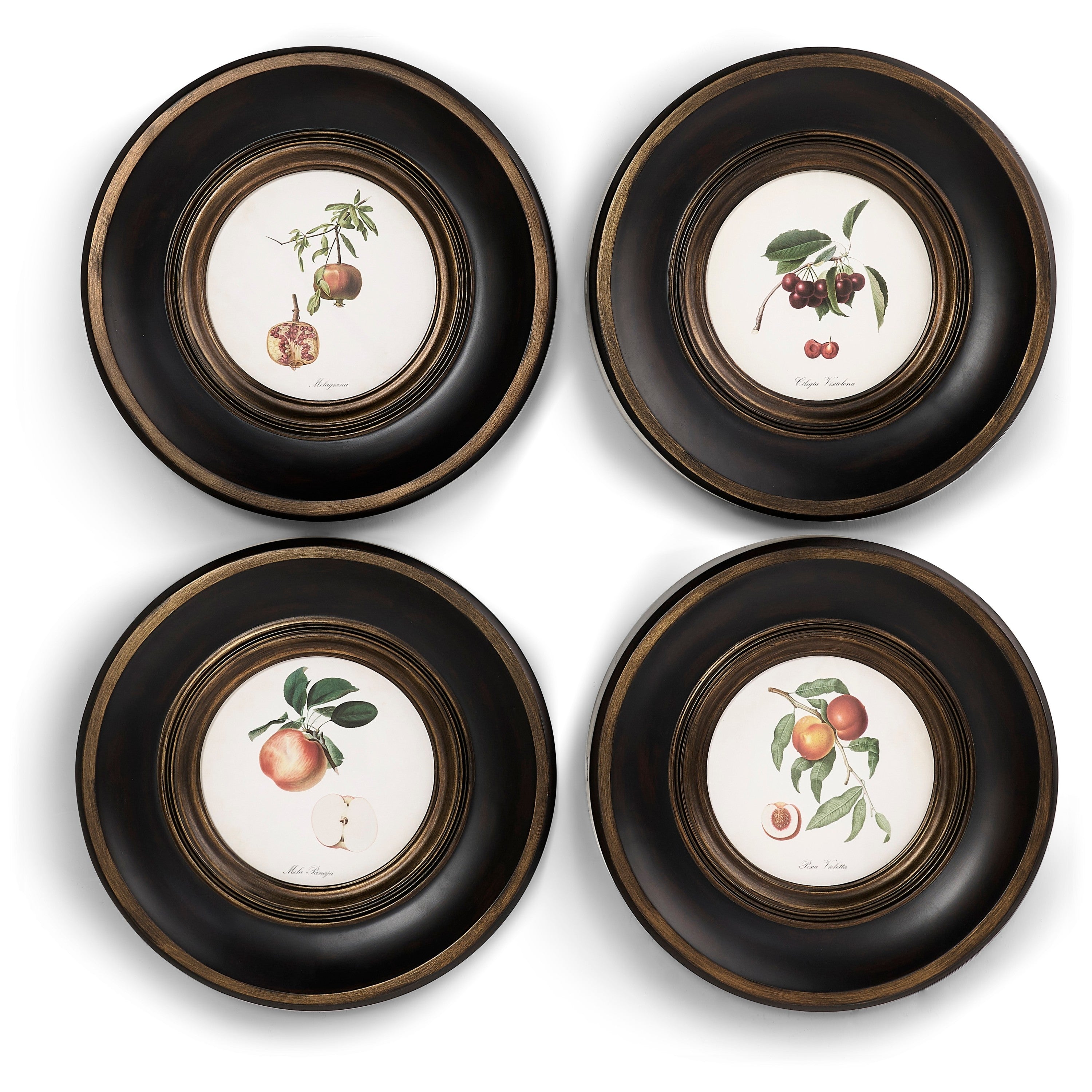 Jonathan Charles Vintage Fruit No. 2 - Set of 4